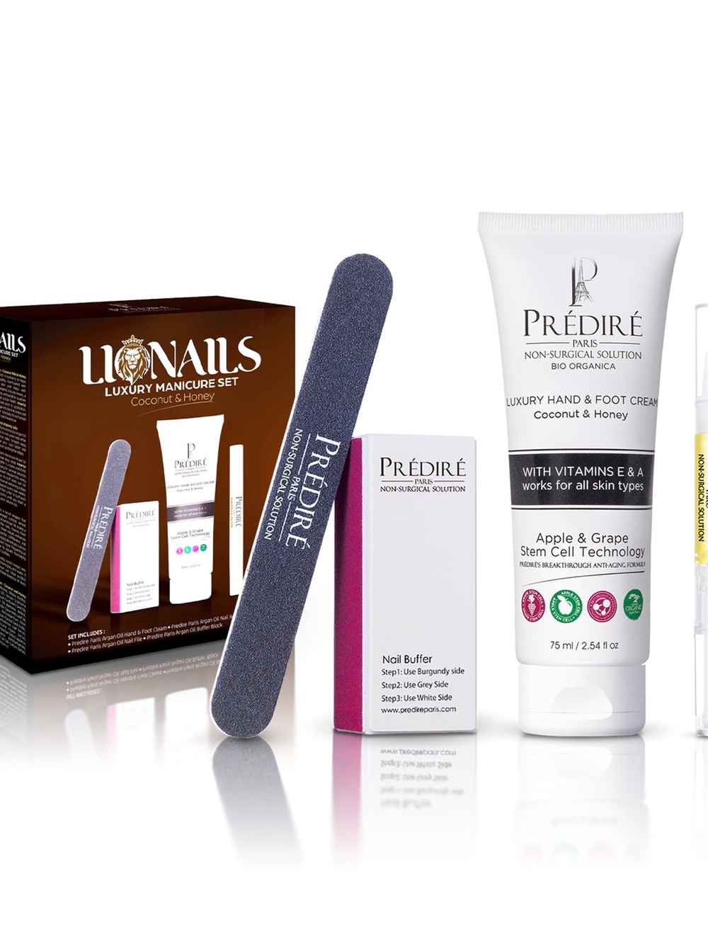 Predire Luxury Nail Kit